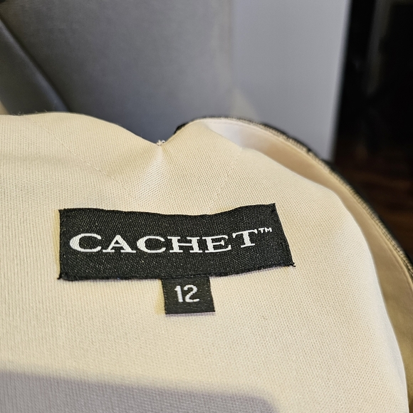 👍NWT Cachet black embroidered tulle beige stretch lined maxi gown dress size 12 - Picture 11 of 11